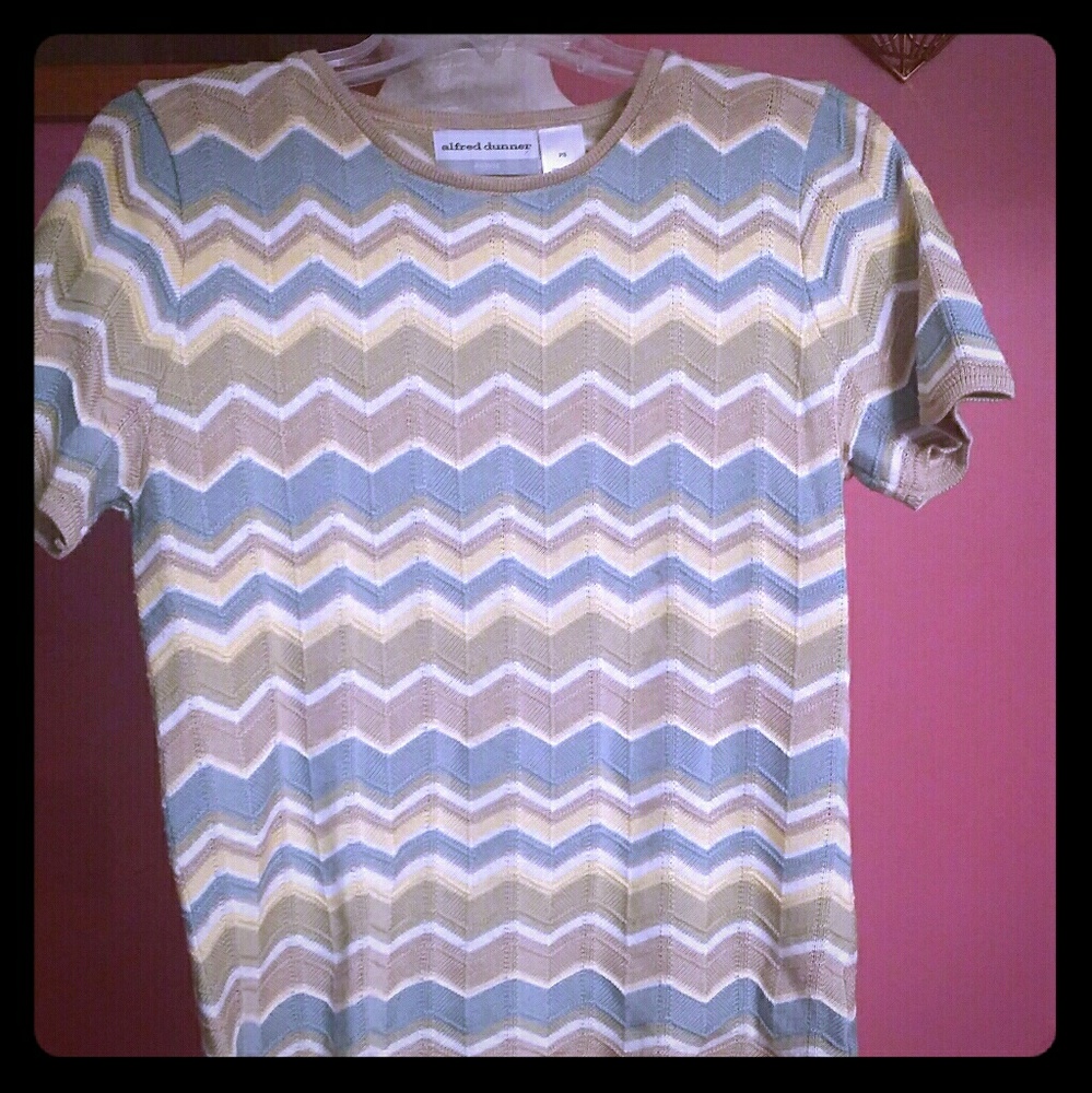 Womans Alfred Dunner Top Size Small Petite Nerdy Librarian Golf Shirt